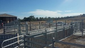 steel supply cattle yard