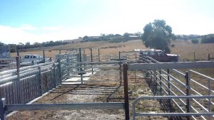 steel supply cattle yard